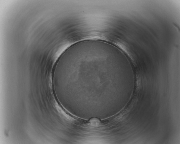 X0000102251468200808011259