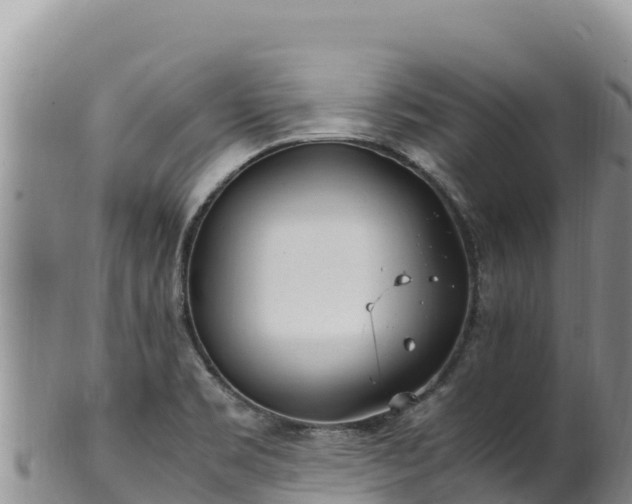 X0000102251469200808011259