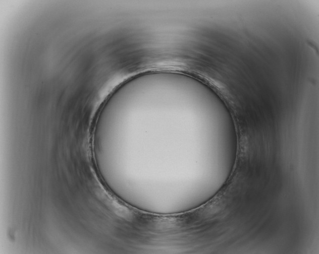 X0000102251470200808011259