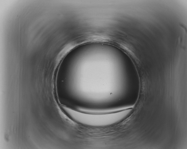 X0000102251471200808011259