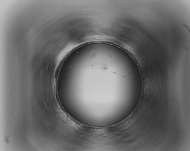 X0000102251472200808011259