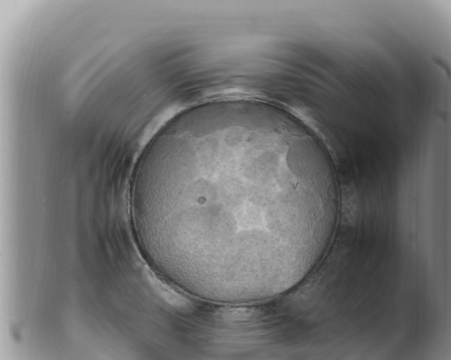 X0000102251474200808011259