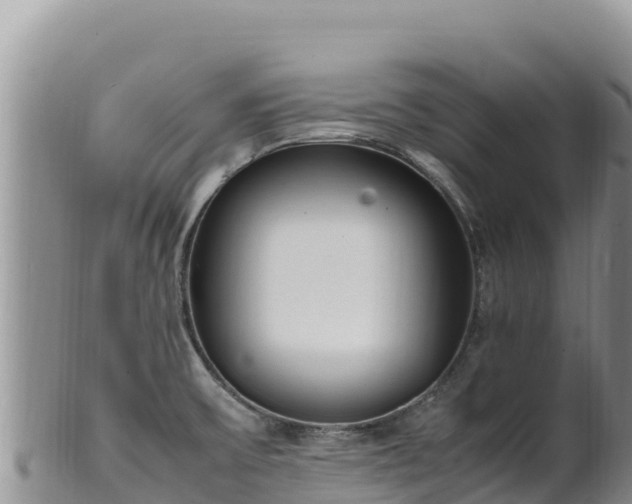 X0000102251475200808011259