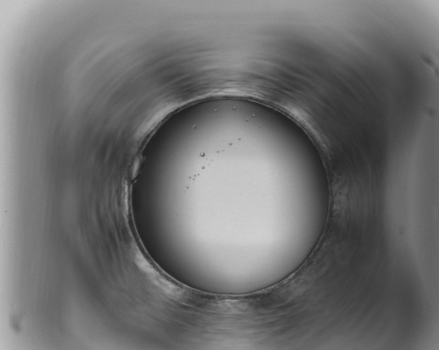 X0000102251476200808011259