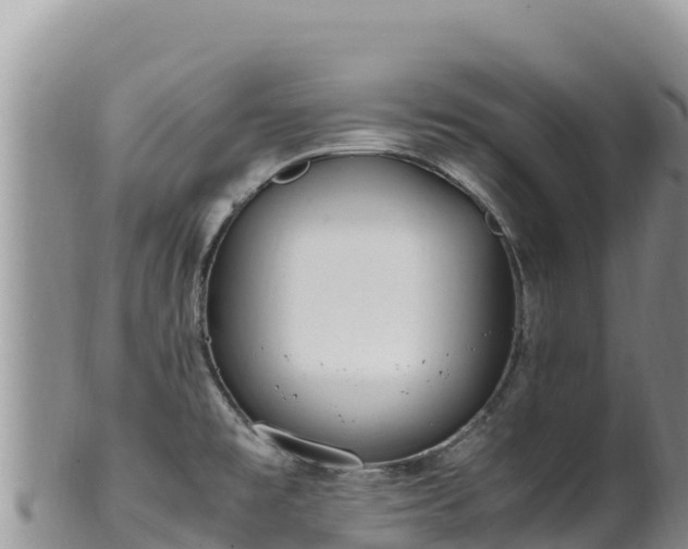 X0000102251477200808011259