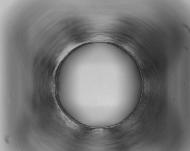 X0000102251478200808011259