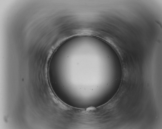 X0000102251480200808011259