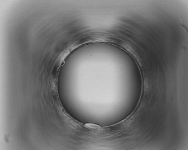 X0000102251481200808011259