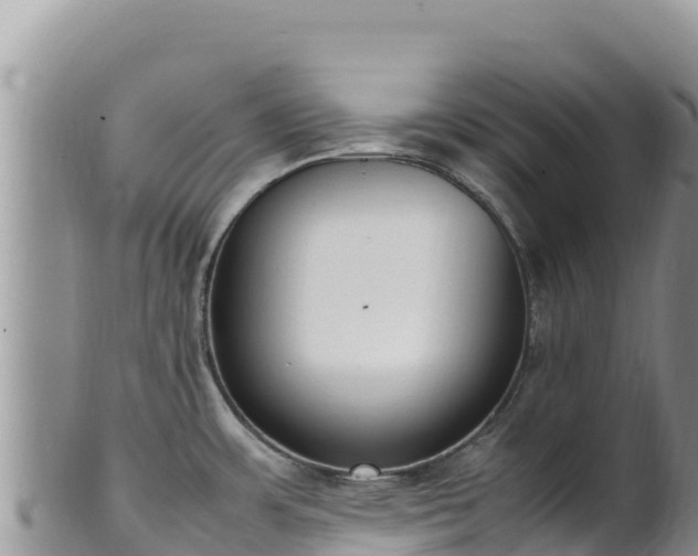 X0000102251483200808011259