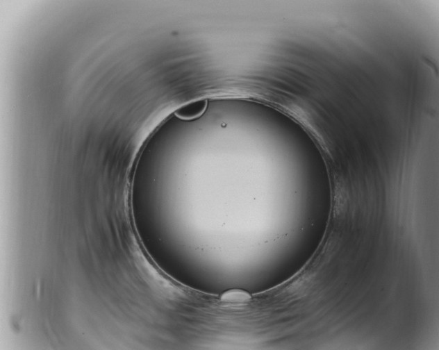 X0000102251484200808011259