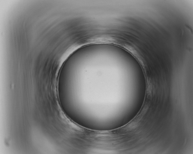 X0000102251486200808011259