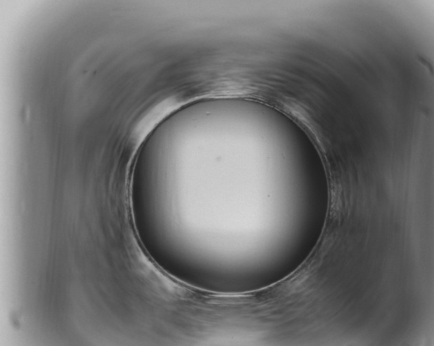 X0000102251487200808011259