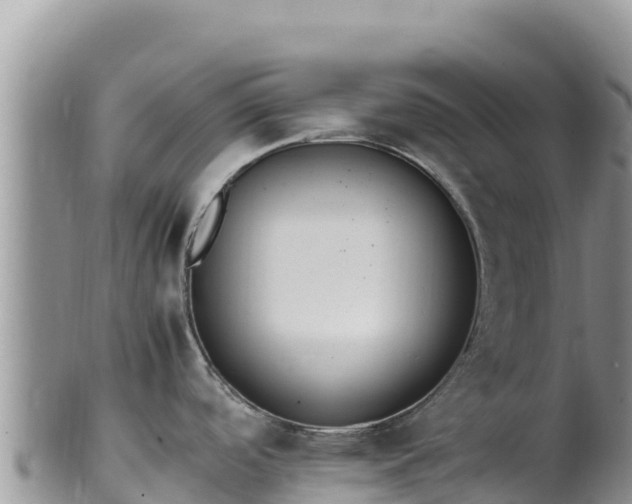 X0000102251488200808011259