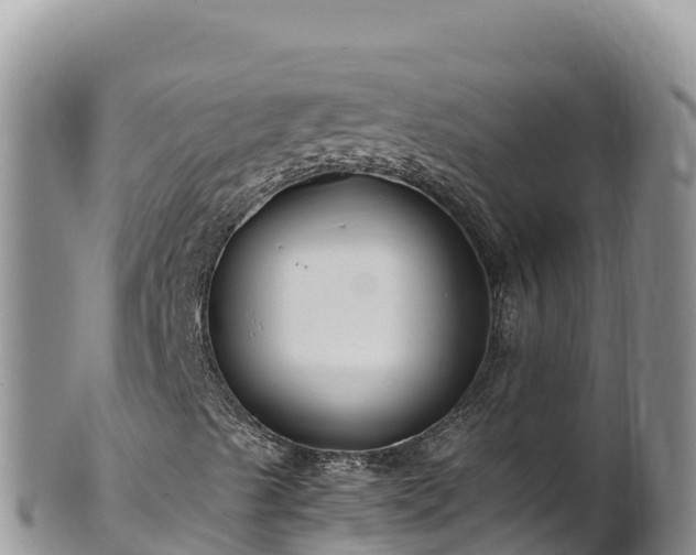 X0000102251489200808011258