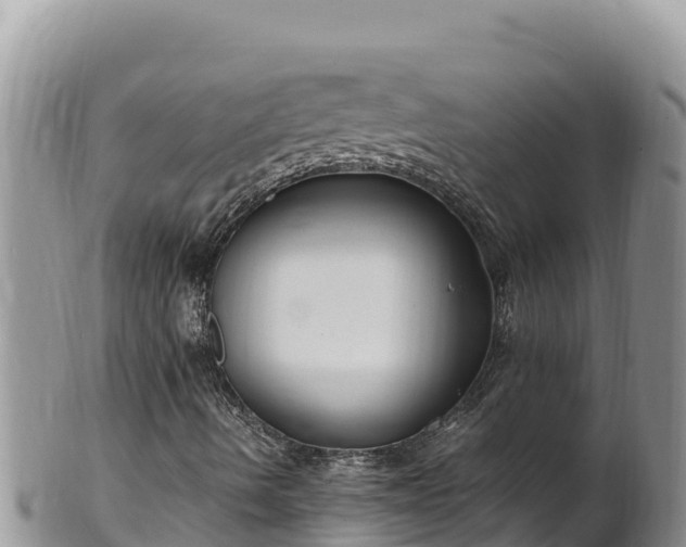 X0000102251490200808011258