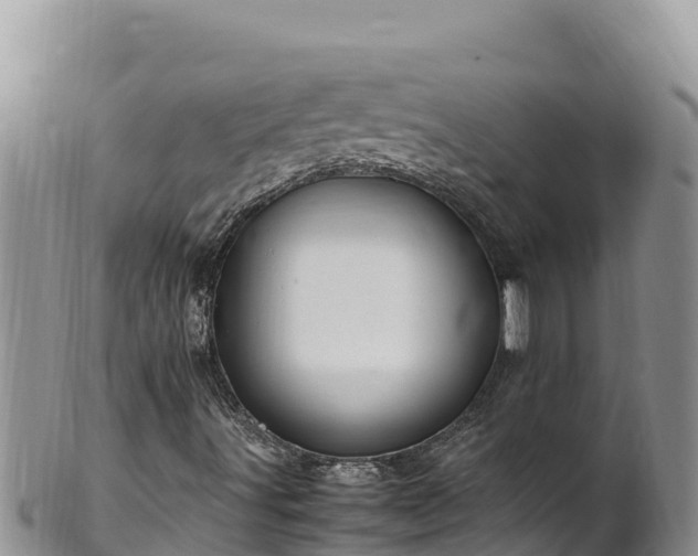 X0000102251491200808011258