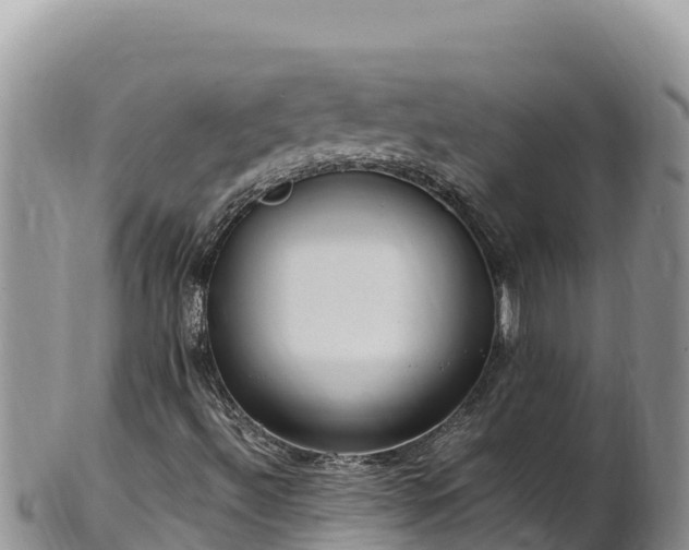 X0000102251492200808011258