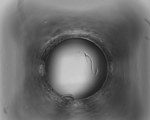 X0000102251493200808011258