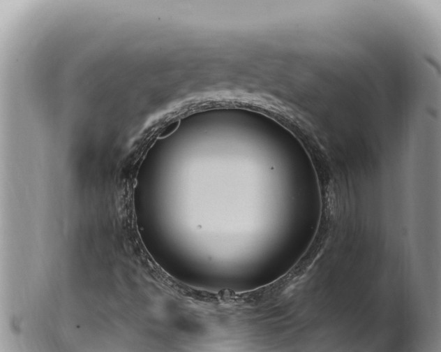 X0000102251494200808011258