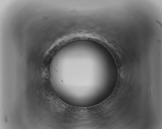 X0000102251495200808011258