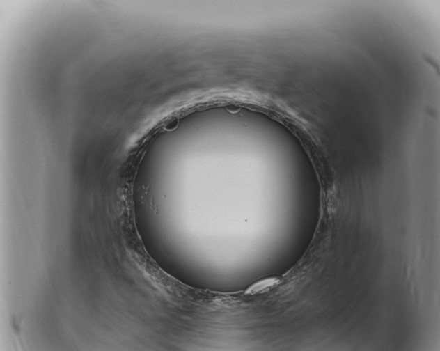 X0000102251496200808011258