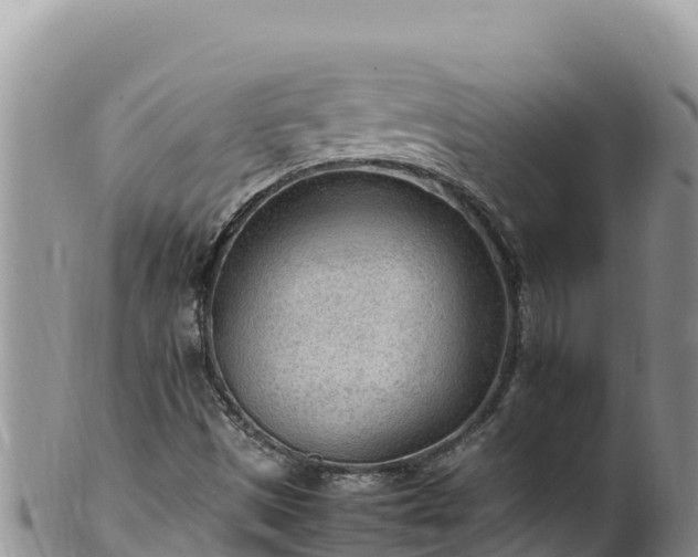 X0000102251497200808011258