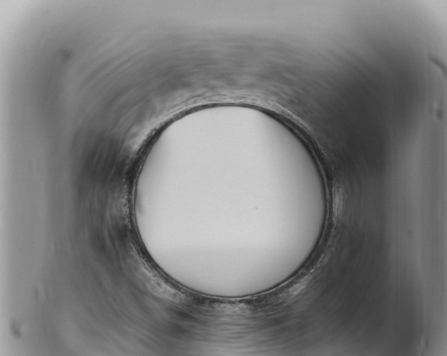 X0000102251498200808011258