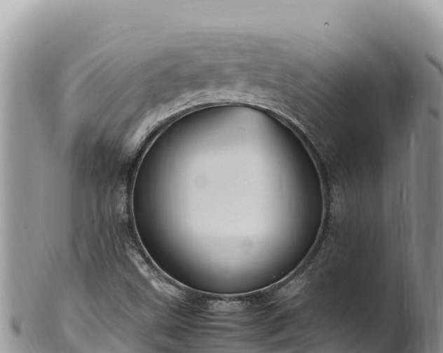 X0000102251499200808011258