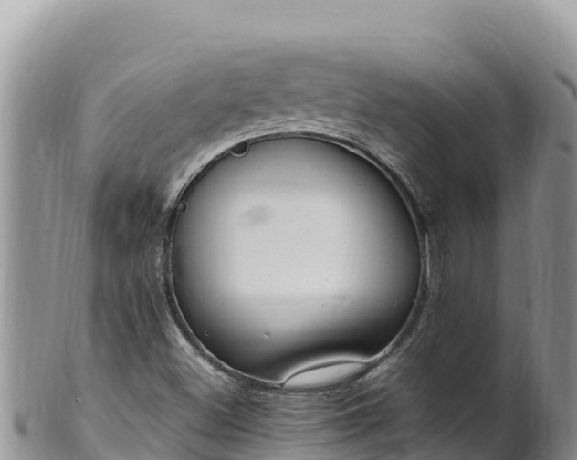 X0000102251500200808011258