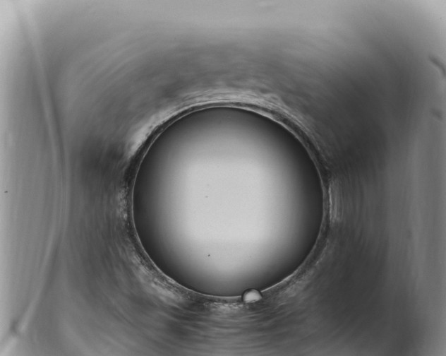 X0000102251501200808011258