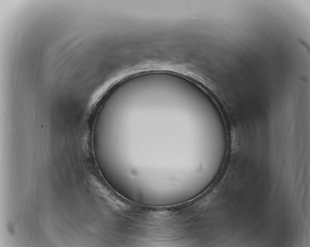 X0000102251502200808011258