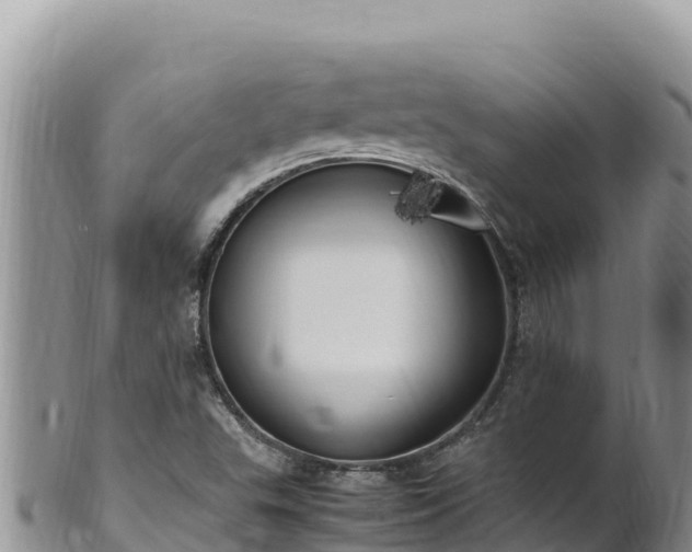 X0000102251503200808011258