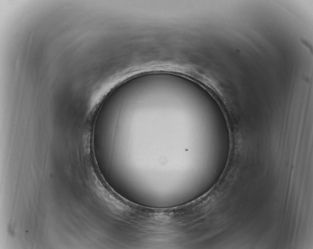 X0000102251504200808011258