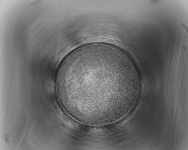 X0000102251505200808011258