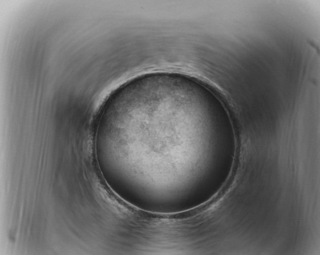 X0000102251506200808011258