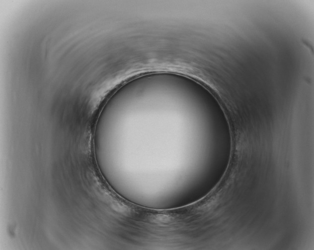 X0000102251507200808011258