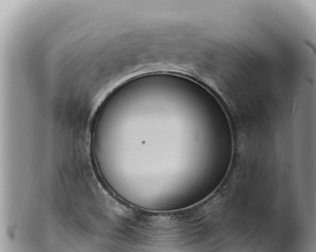 X0000102251508200808011258