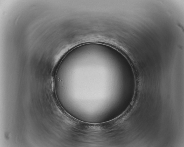 X0000102251509200808011258