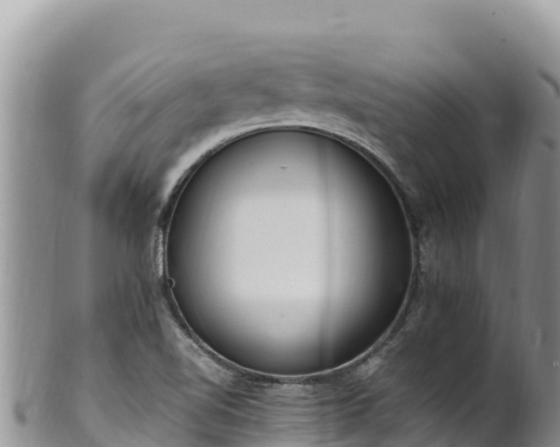 X0000102251510200808011258