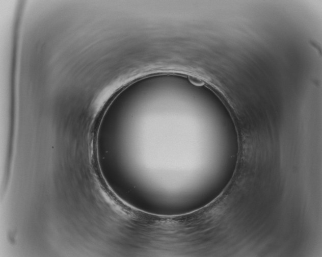 X0000102251511200808011258