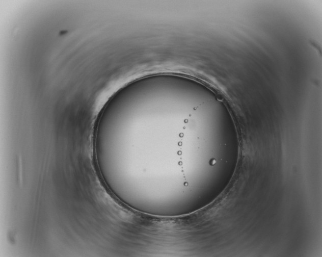 X0000102251512200808011259