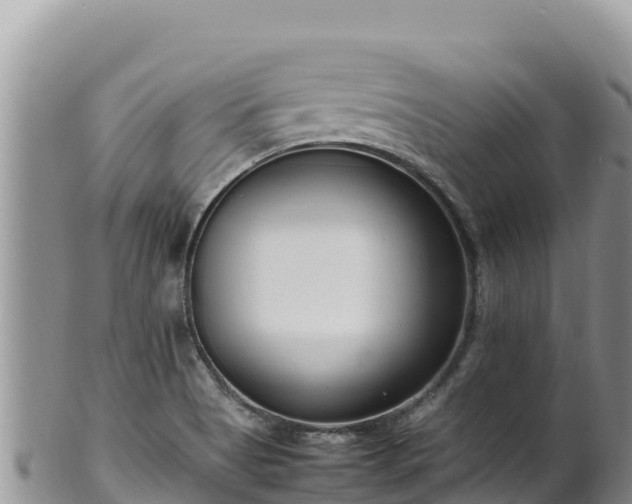 X0000102251513200808011259