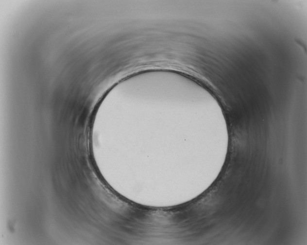 X0000102251514200808011259