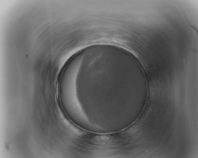 X0000102251515200808011259