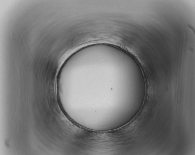 X0000102251516200808011259