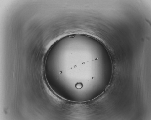 X0000102251518200808011259