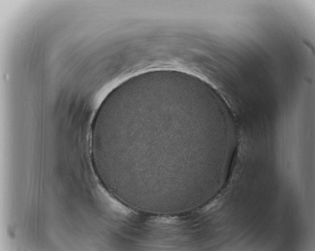 X0000102251519200808011259