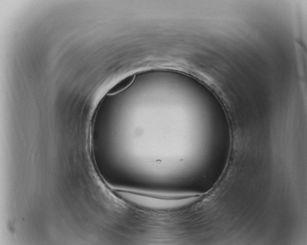 X0000102251520200808011259