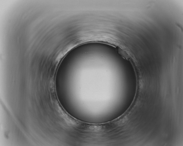 X0000102251521200808011259