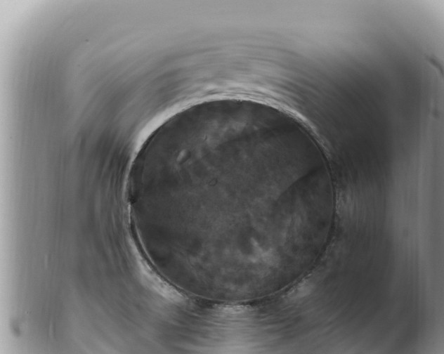 X0000102251522200808011259